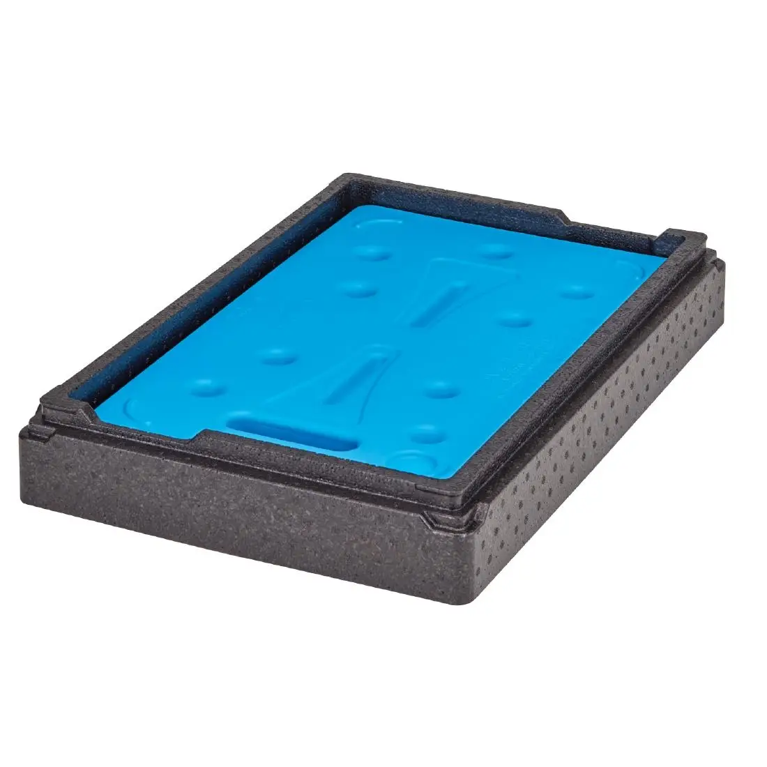 Cambro Cold Plate Camchiller Insert for Full Size Gastronorm Food Tray Carriers CT458 - Image 3