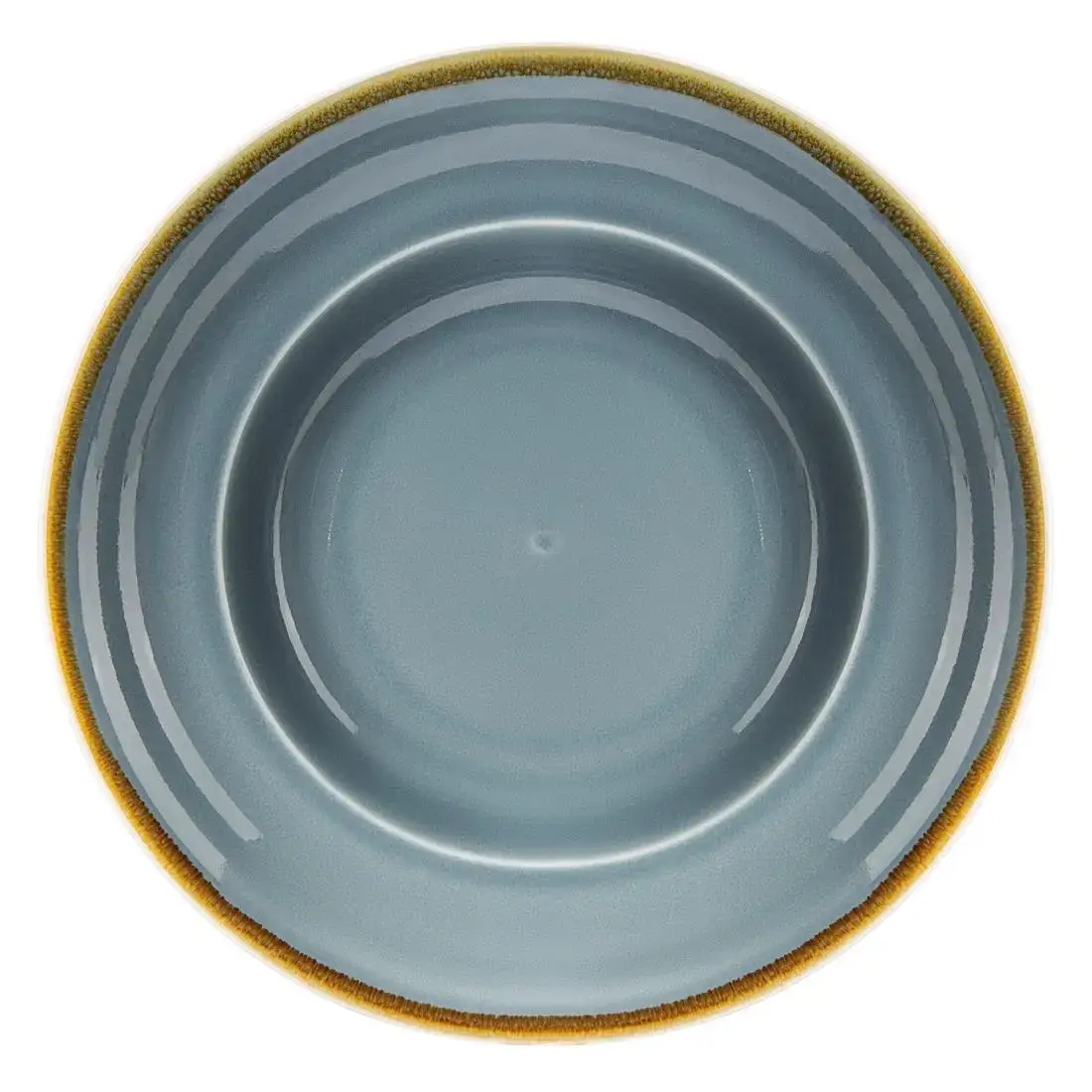 Olympia Kiln Pasta Bowls Ocean 250mm (4 Pack) DC305