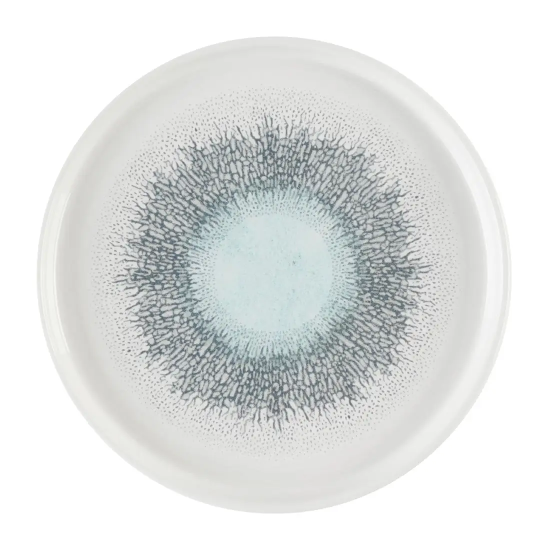Churchill Studio Prints Fusion Aquamarine Chefs' Walled Plates 210mm (6 Pack) DX833