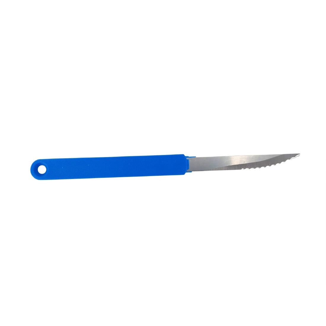 Scaritech Scarinox Knife Blue HZ536 - Image 4