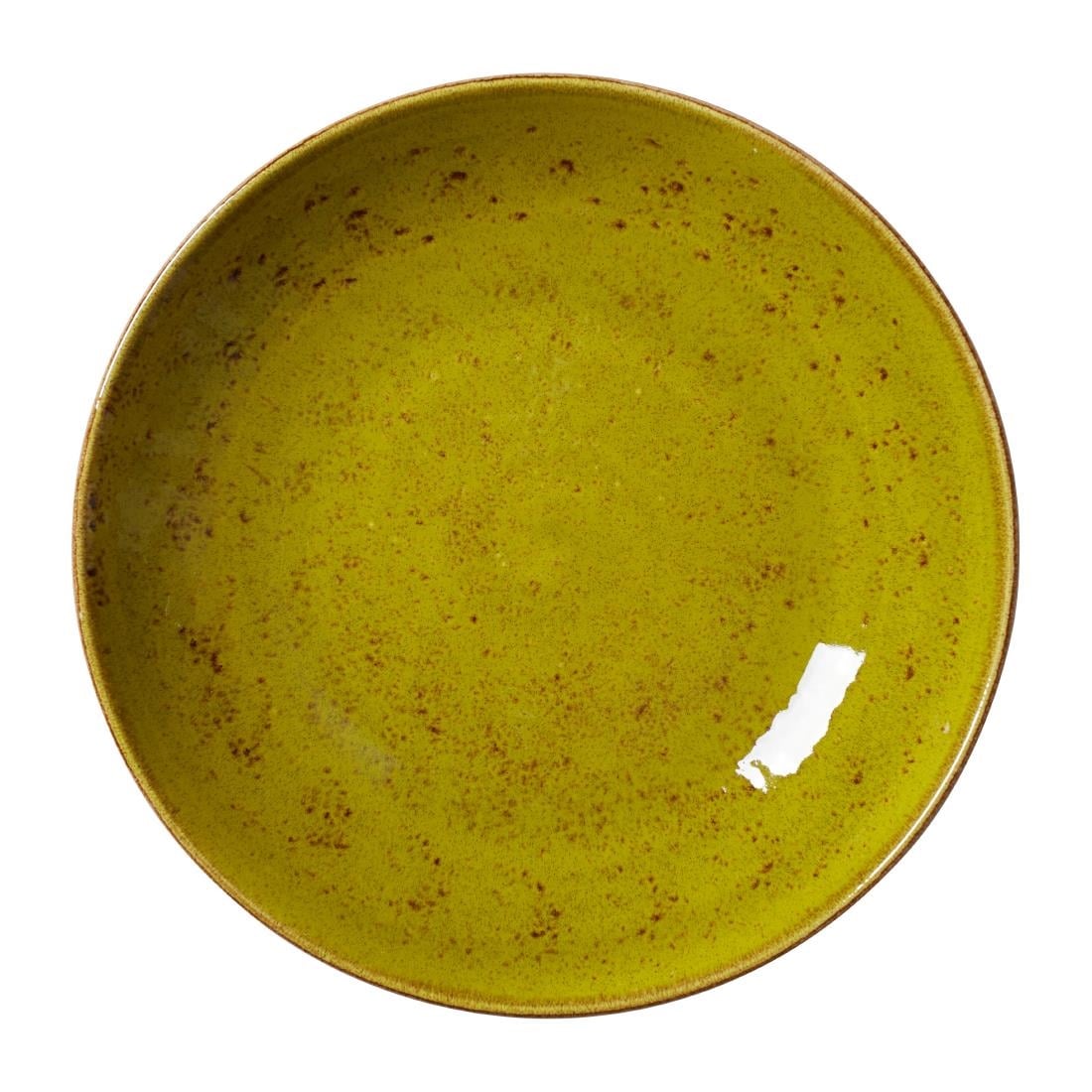 Steelite Craft Apple Coupe Bowls 255mm (12 Pack) VV2645