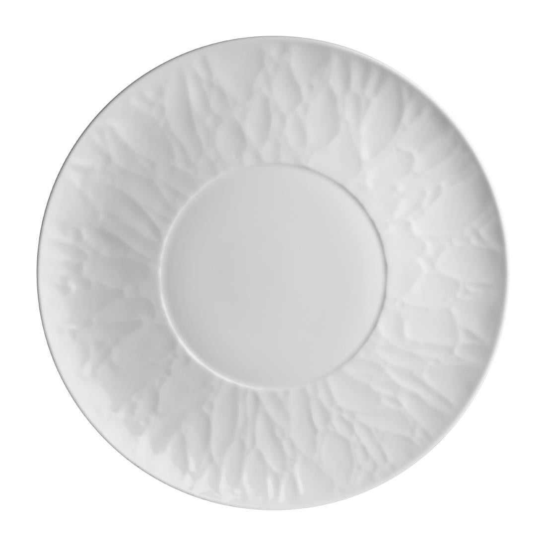 Steelite Atelier Signature Plates 279mm Well 140mm (12 Pack) VV3732