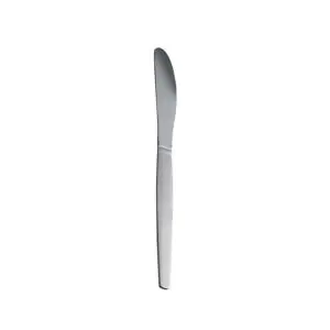 Signature Style New Era 18/0 Stainless Steel Infants Knife - AB708