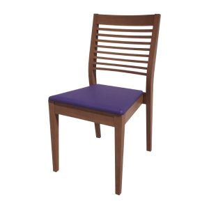 hs392_npi24-bluewalnut