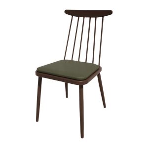 hs458_npi24-olivewenge