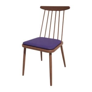 hs467_npi24-bluewalnut