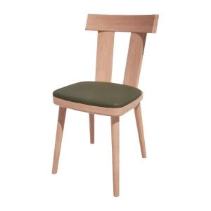 hs480_npi24-olivebeech