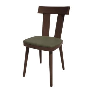 hs483_npi24-olivewenge